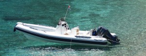 #Dorado 7 #Psaros