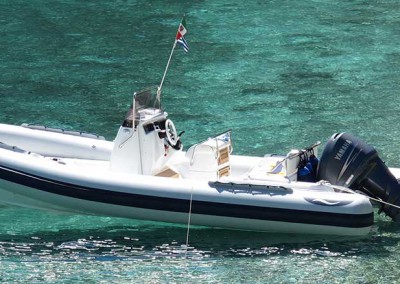 #Dorado 7 #Psaros